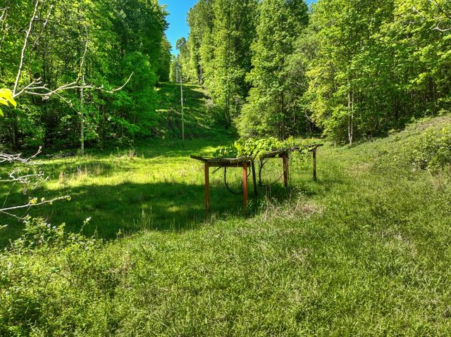 352 Messer Drive, Copperhill, TN 37317