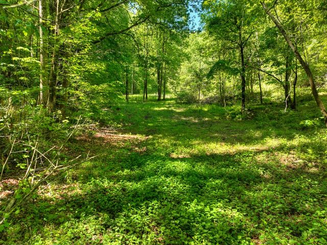352 Messer Drive, Copperhill, TN 37317