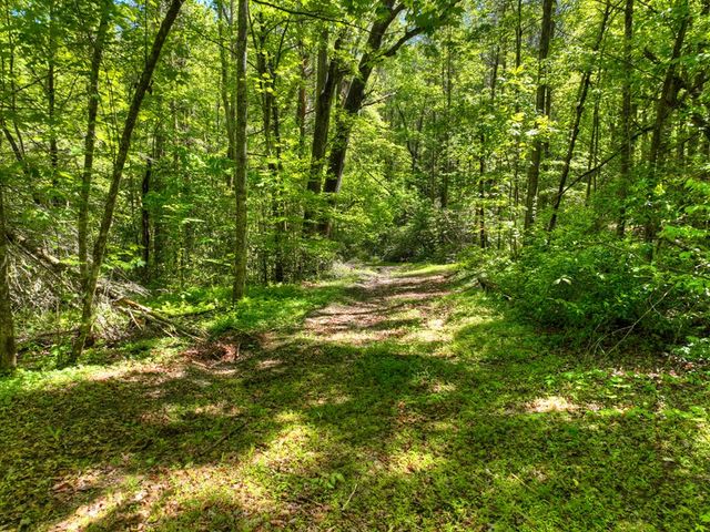 352 Messer Drive, Copperhill, TN 37317