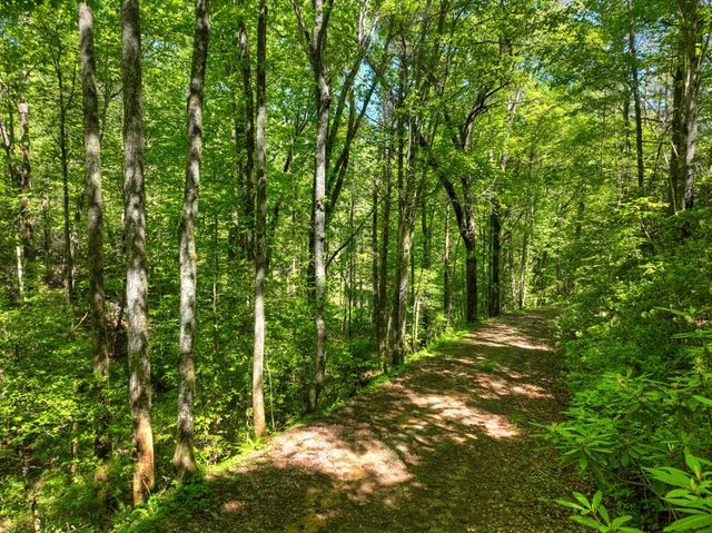 352 Messer Drive, Copperhill, TN 37317