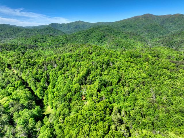 352 Messer Drive, Copperhill, TN 37317