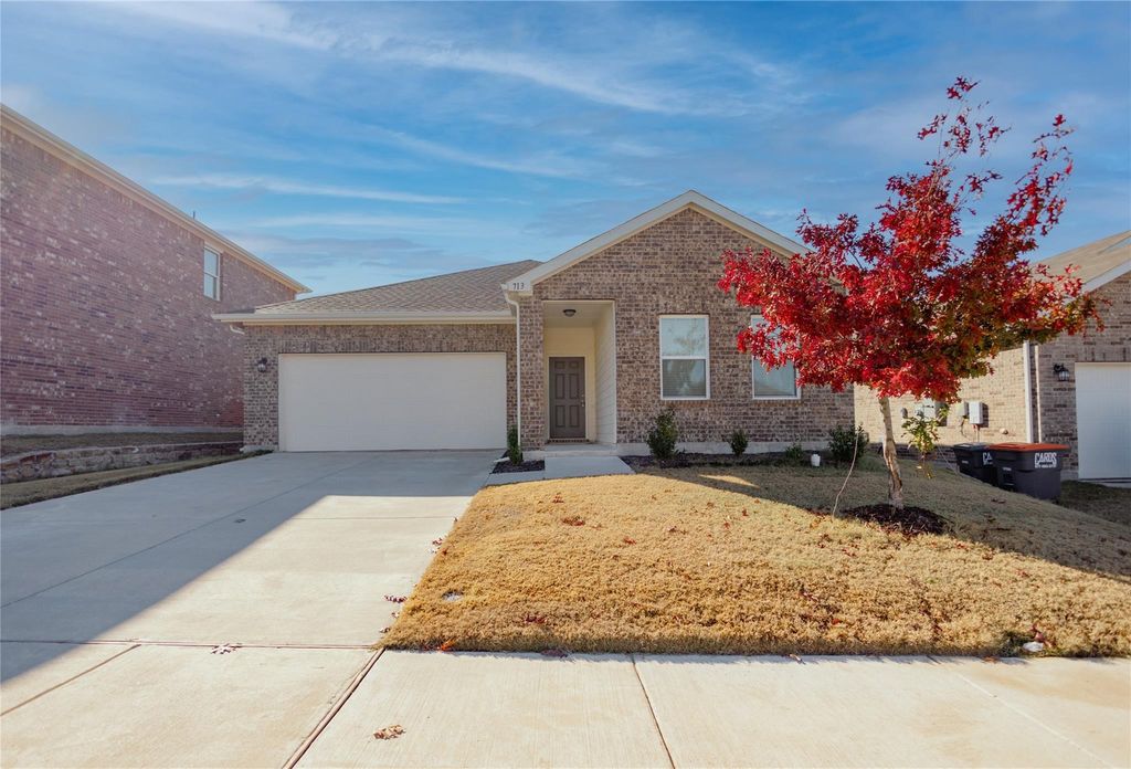 713 Cedar Elm Drive, Anna, TX 75409