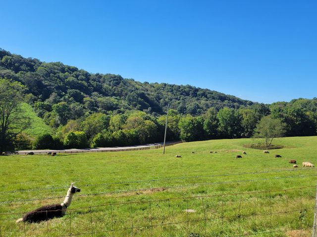 1714 Bear Creek Rd, Culleoka, TN 38451