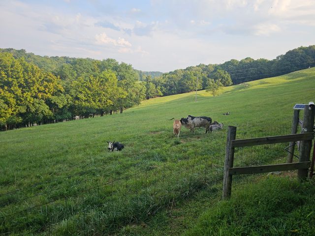 1714 Bear Creek Rd, Culleoka, TN 38451