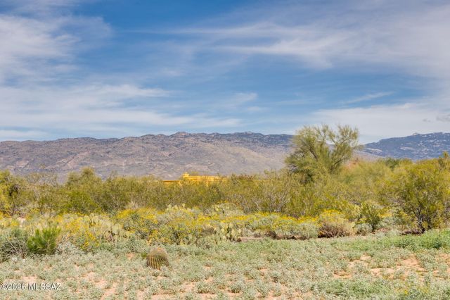 13691 E Pocketknife Drive, Vail, AZ 85641