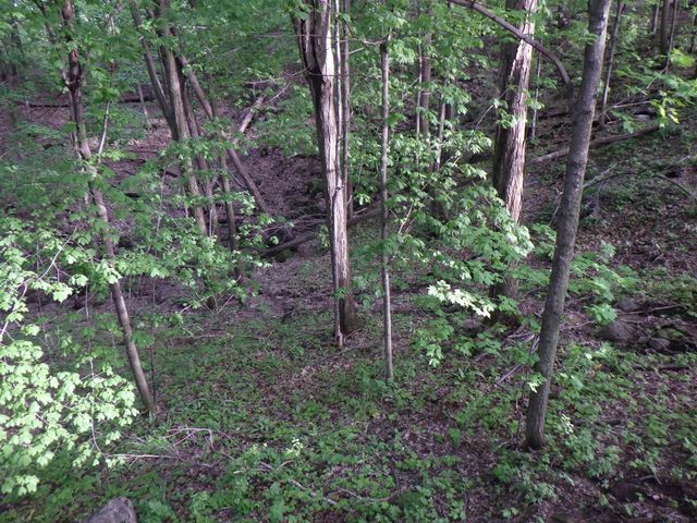E7696 HORN ROAD, Marion, WI 54950