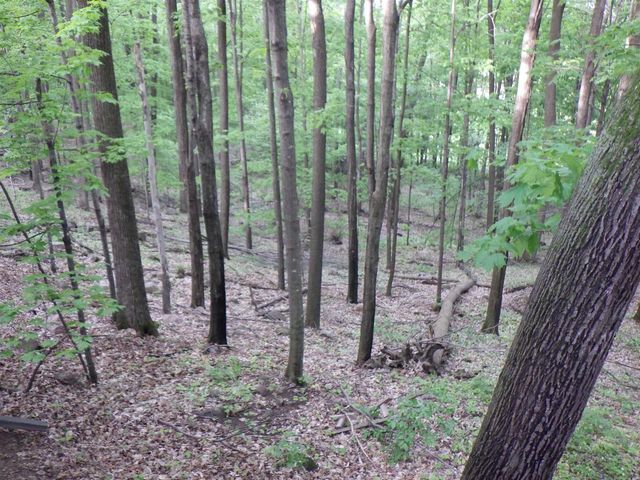 E7696 HORN ROAD, Marion, WI 54950