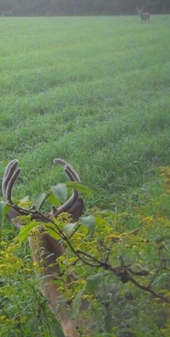 E7696 HORN ROAD, Marion, WI 54950