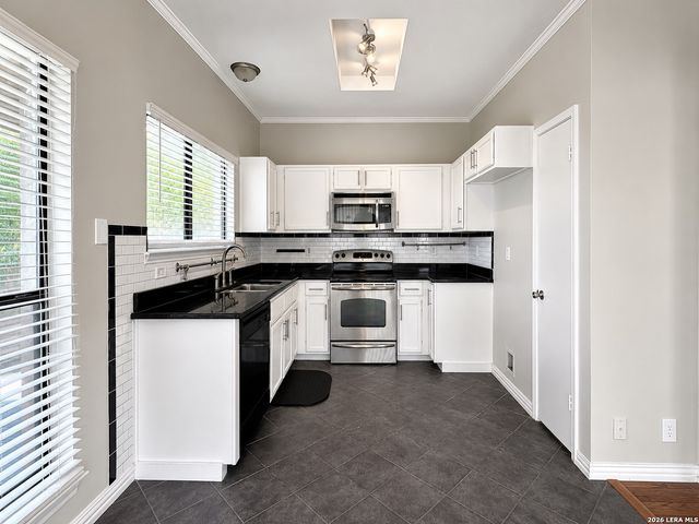 15119 SPRING MIST, San Antonio, TX 78247