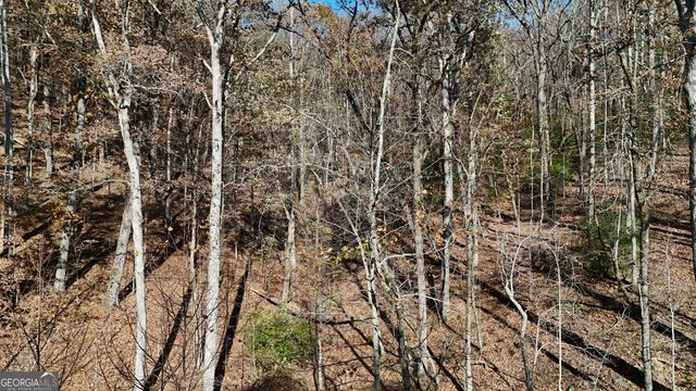 LOT 183 Northshore Drive, Cleveland, GA 30528