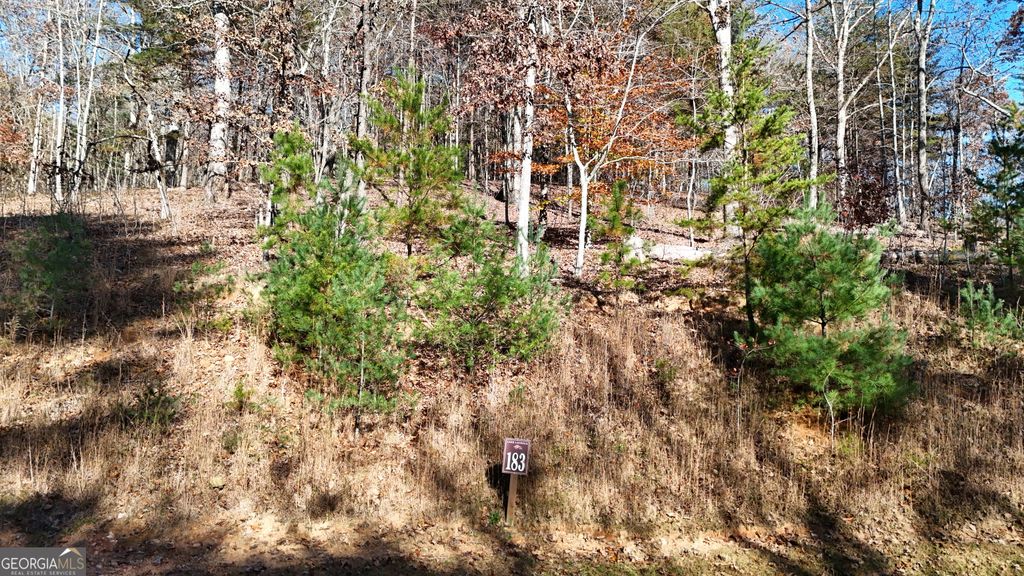 LOT 183 Northshore Drive, Cleveland, GA 30528