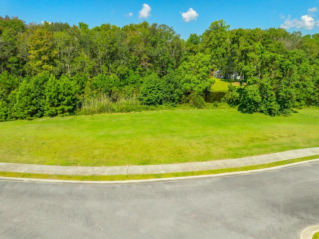 TBD Grassland Ln., Georgetown, SC 29440