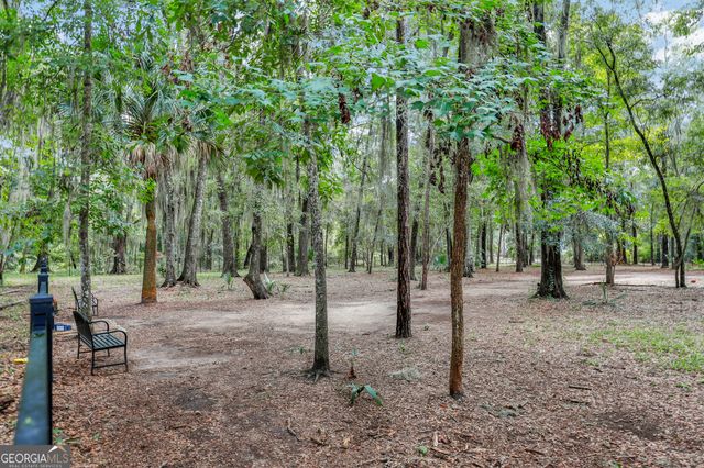 99 Small Pine Lane, Richmond Hill, GA 31324