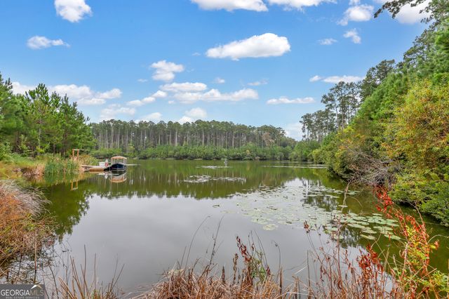 99 Small Pine Lane, Richmond Hill, GA 31324