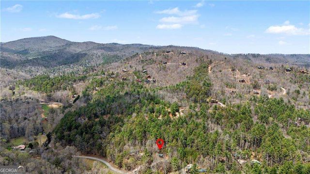 1790 Stanley Creek Road, Cherry Log, GA 30522