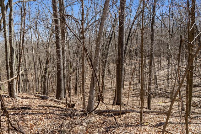 14714 Myers Lake Avenue NE Parcel A, Cedar Springs, MI 49319