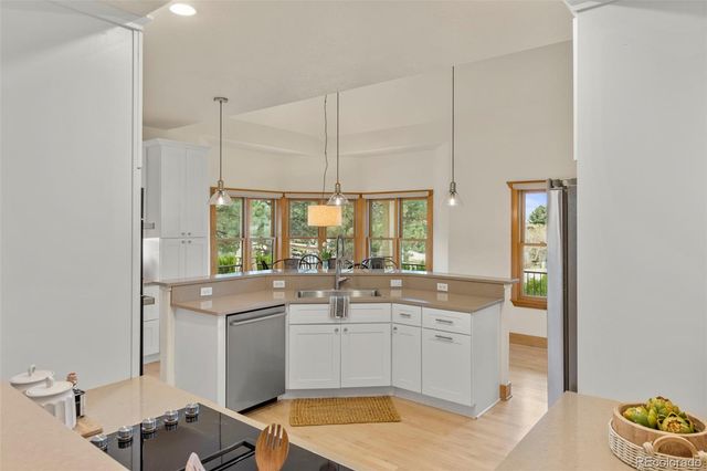 7457 Gooseberry Court, Parker, CO 80134