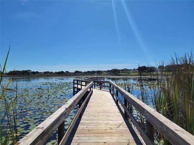 3723 MULBERRY GROVE LOOP, Leesburg, FL 34748