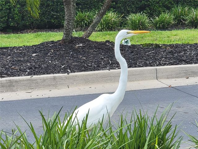 3723 MULBERRY GROVE LOOP, Leesburg, FL 34748