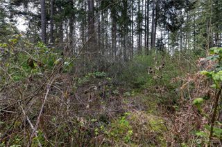 0 (Lot 2) 95th Avenue Ct E, Graham, WA 98338