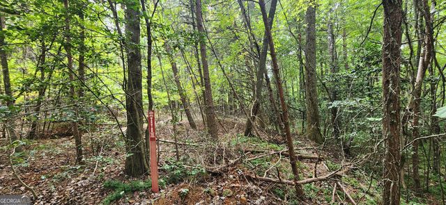 LT 14,15 Donna Lee Lane, Mineral Bluff, GA 30559