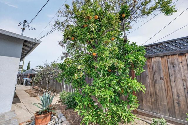 5164 Montreal Drive, San Jose, CA 95130