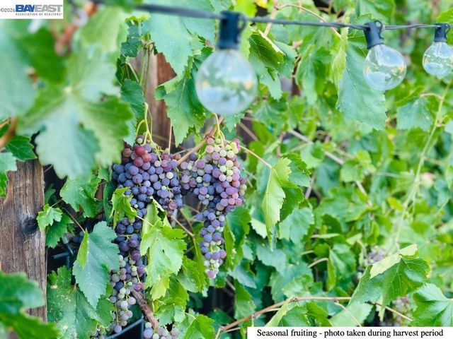 3610 Madeira Way, Livermore, CA 94550