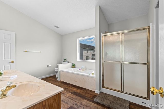 32 Lisa Nicole Court, St Peters, MO 63376