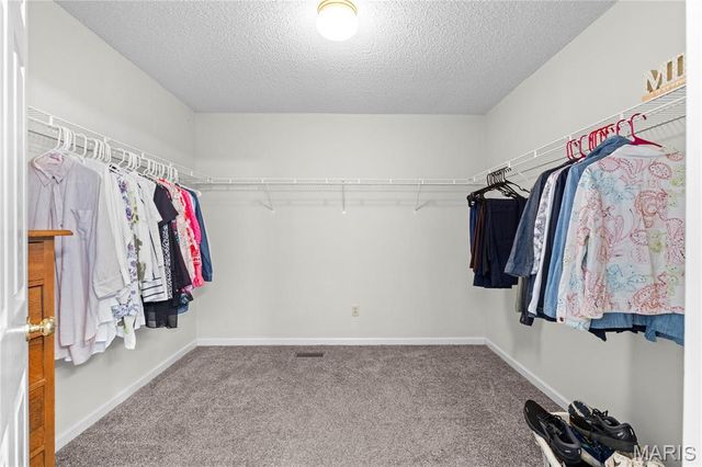 32 Lisa Nicole Court, St Peters, MO 63376