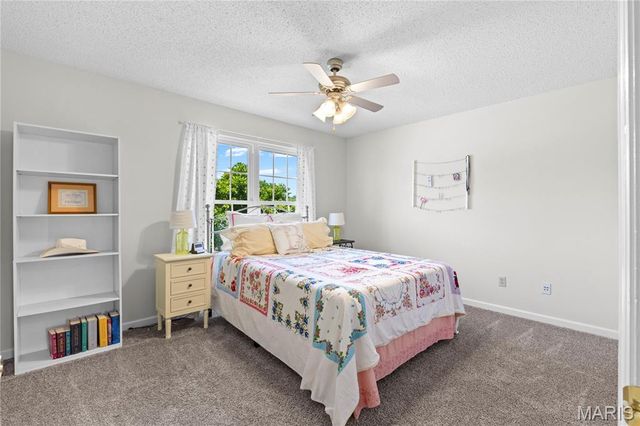 32 Lisa Nicole Court, St Peters, MO 63376