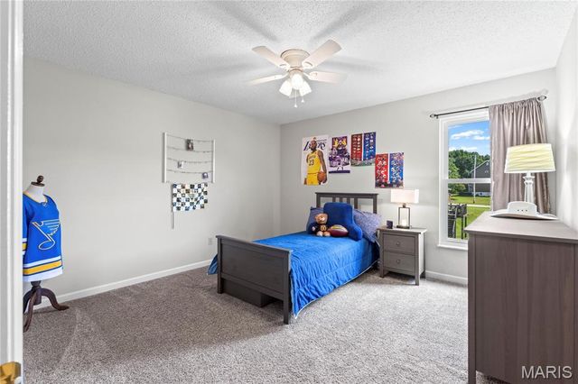 32 Lisa Nicole Court, St Peters, MO 63376