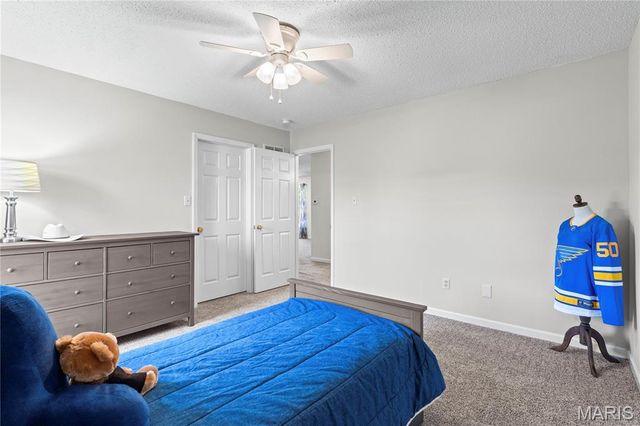 32 Lisa Nicole Court, St Peters, MO 63376