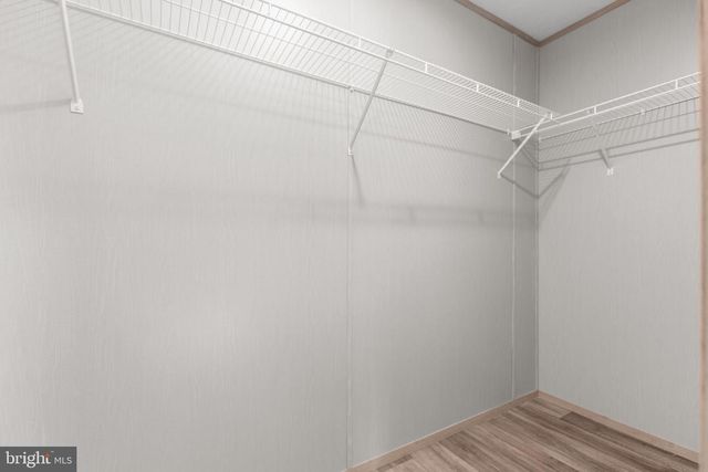 309 MOOREFIELD RD, Mineral, VA 23117