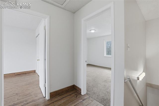 336 Robbins Mill Place, Colorado Springs, CO 80910