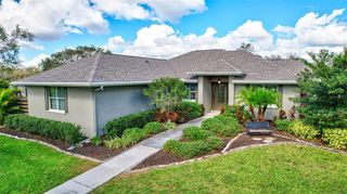 29205 SADDLEBAG TRAIL, Myakka City, FL 34251