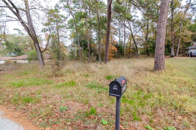 24510 Pine Canyon Dr, Spring, TX 77380