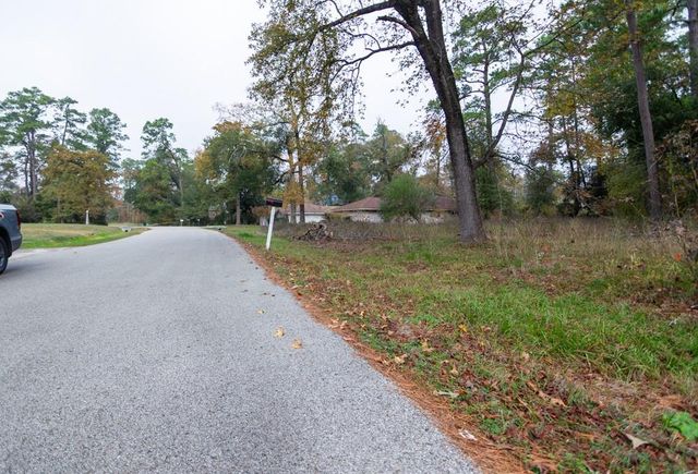 24510 Pine Canyon Dr, Spring, TX 77380