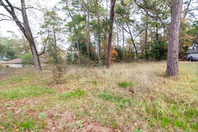 24510 Pine Canyon Dr, Spring, TX 77380