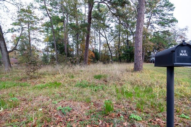 24510 Pine Canyon Dr, Spring, TX 77380