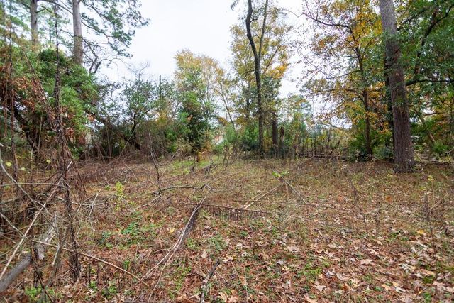 24510 Pine Canyon Dr, Spring, TX 77380