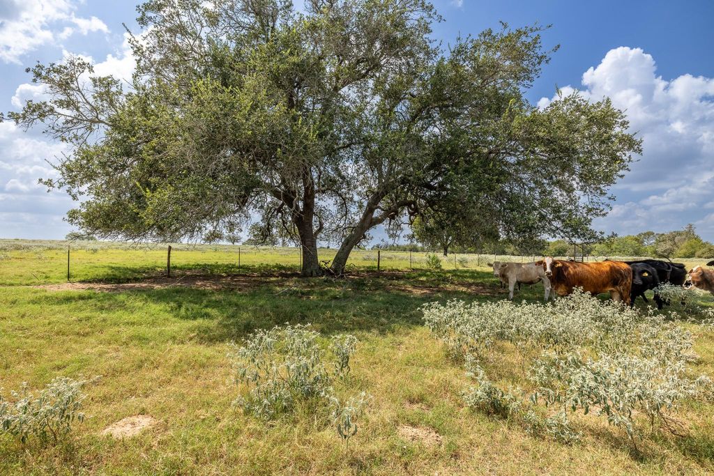 4725 Fm 532 E, Gonzales, TX 78629
