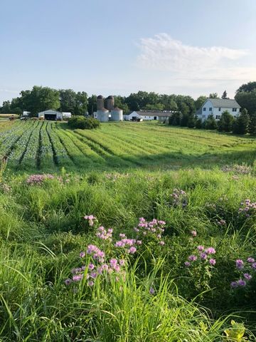 1571 Amos Bennett Street, Grayslake, IL 60030