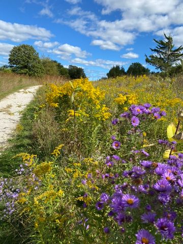 1571 Amos Bennett Street, Grayslake, IL 60030