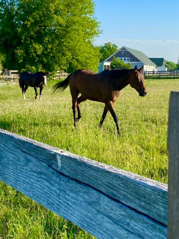 1571 Amos Bennett Street, Grayslake, IL 60030