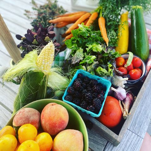 1571 Amos Bennett Street, Grayslake, IL 60030