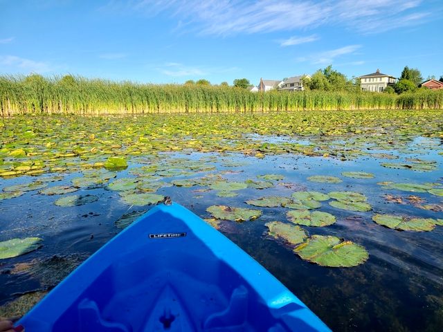 1571 Amos Bennett Street, Grayslake, IL 60030