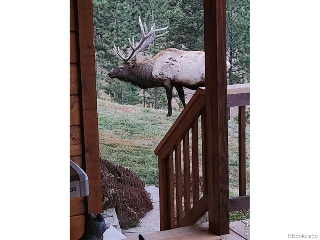 96 Lone Wolf Road, Loveland, CO 80537