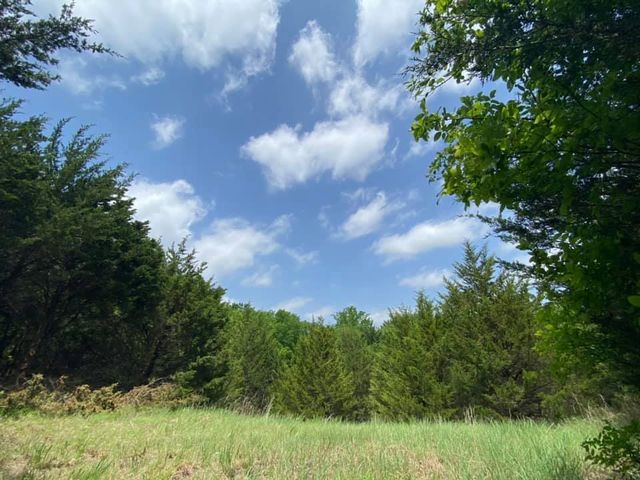 5656 County Road 1094, Celeste, TX 75423
