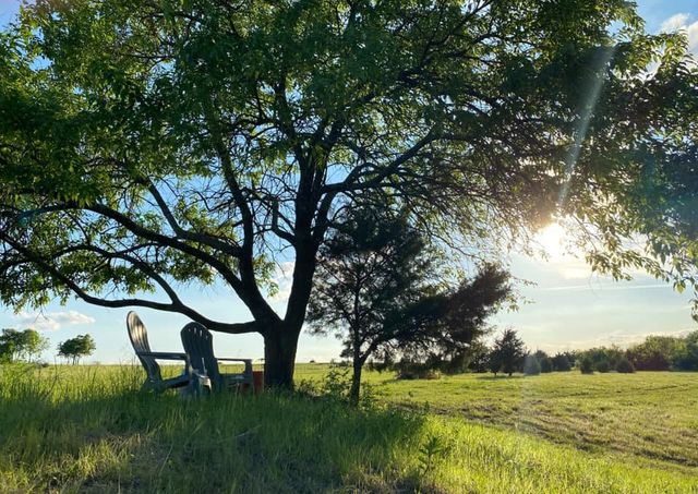 5656 County Road 1094, Celeste, TX 75423