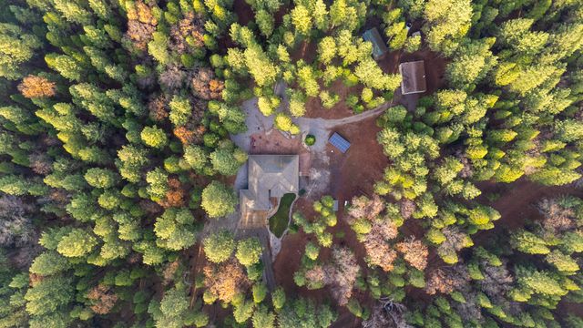 7795 Eastmoore Road, Shingletown, CA 96088